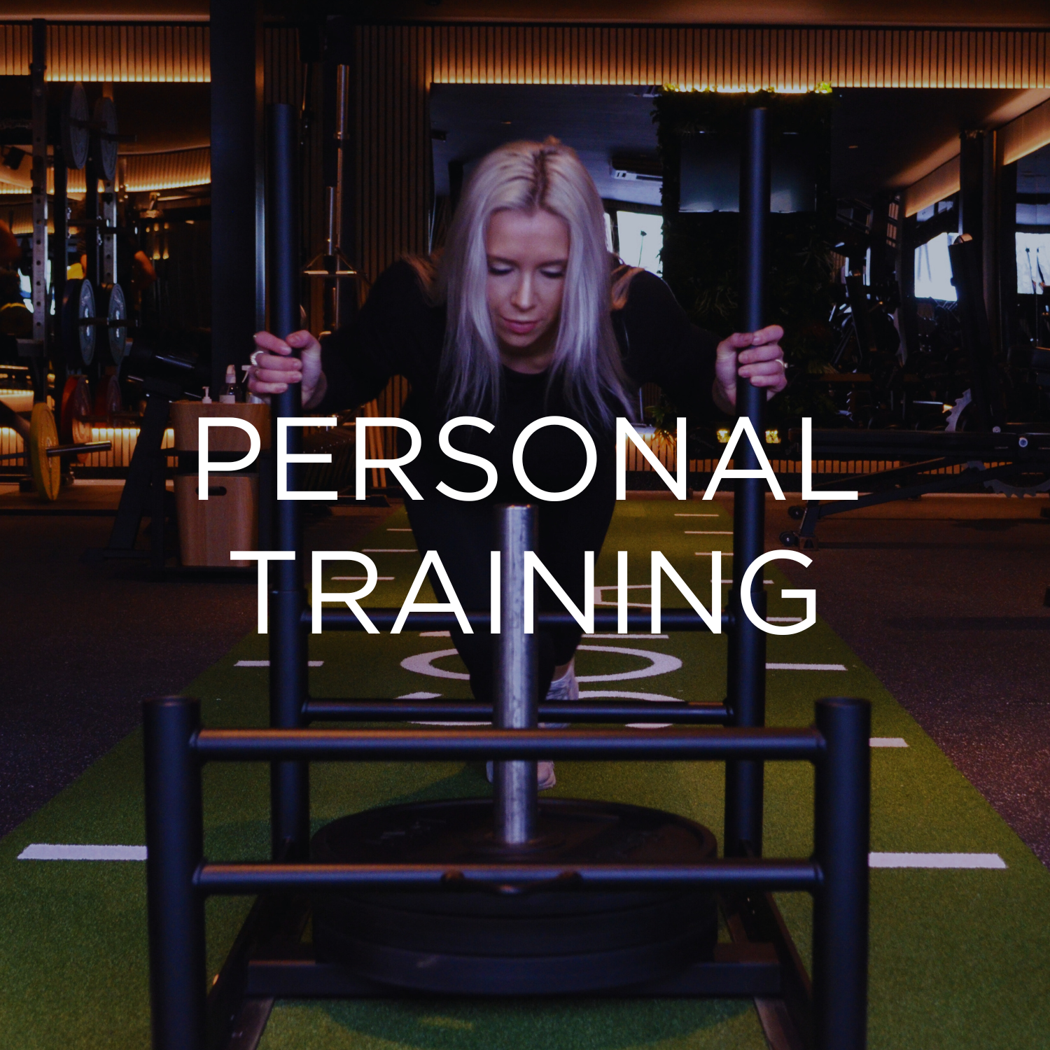 Personal Training